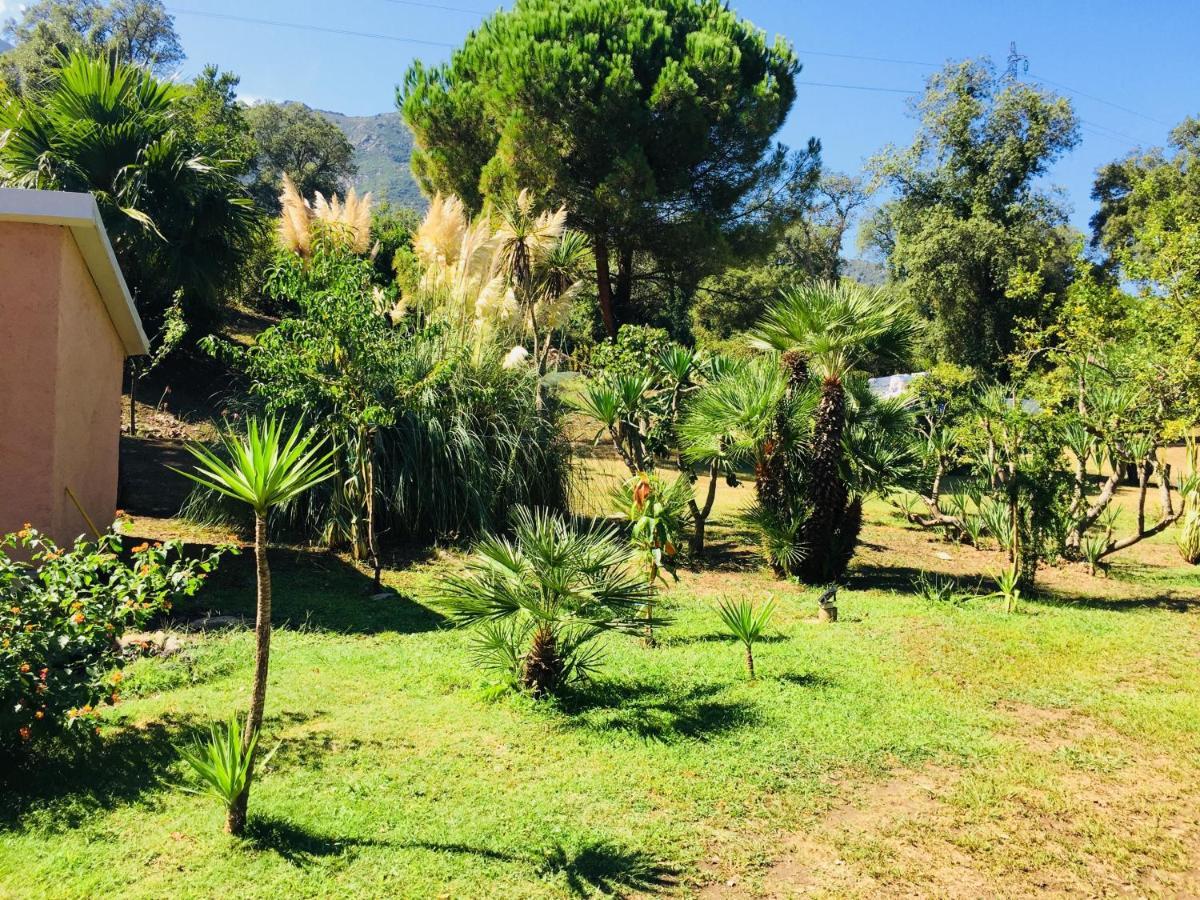 Residence Emilia Santa-Maria-Poggio  エクステリア 写真