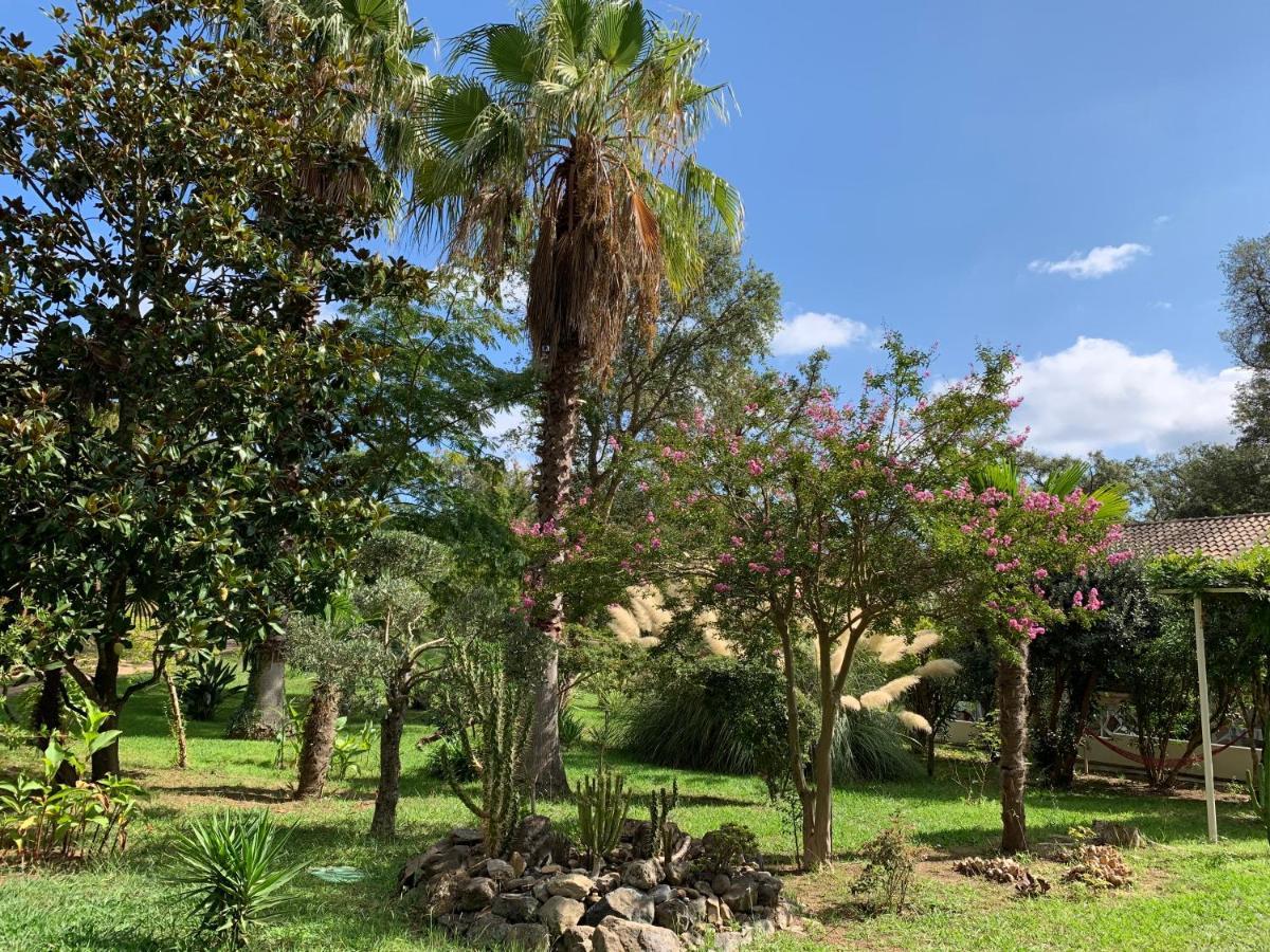Residence Emilia Santa-Maria-Poggio  エクステリア 写真