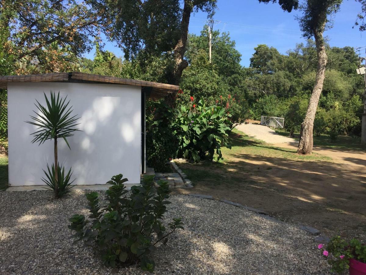 Residence Emilia Santa-Maria-Poggio  エクステリア 写真