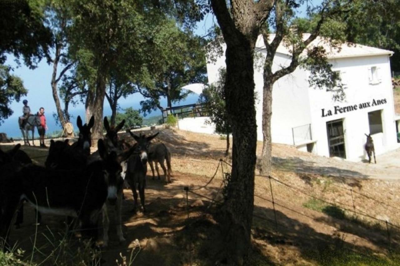 Residence Emilia Santa-Maria-Poggio  エクステリア 写真